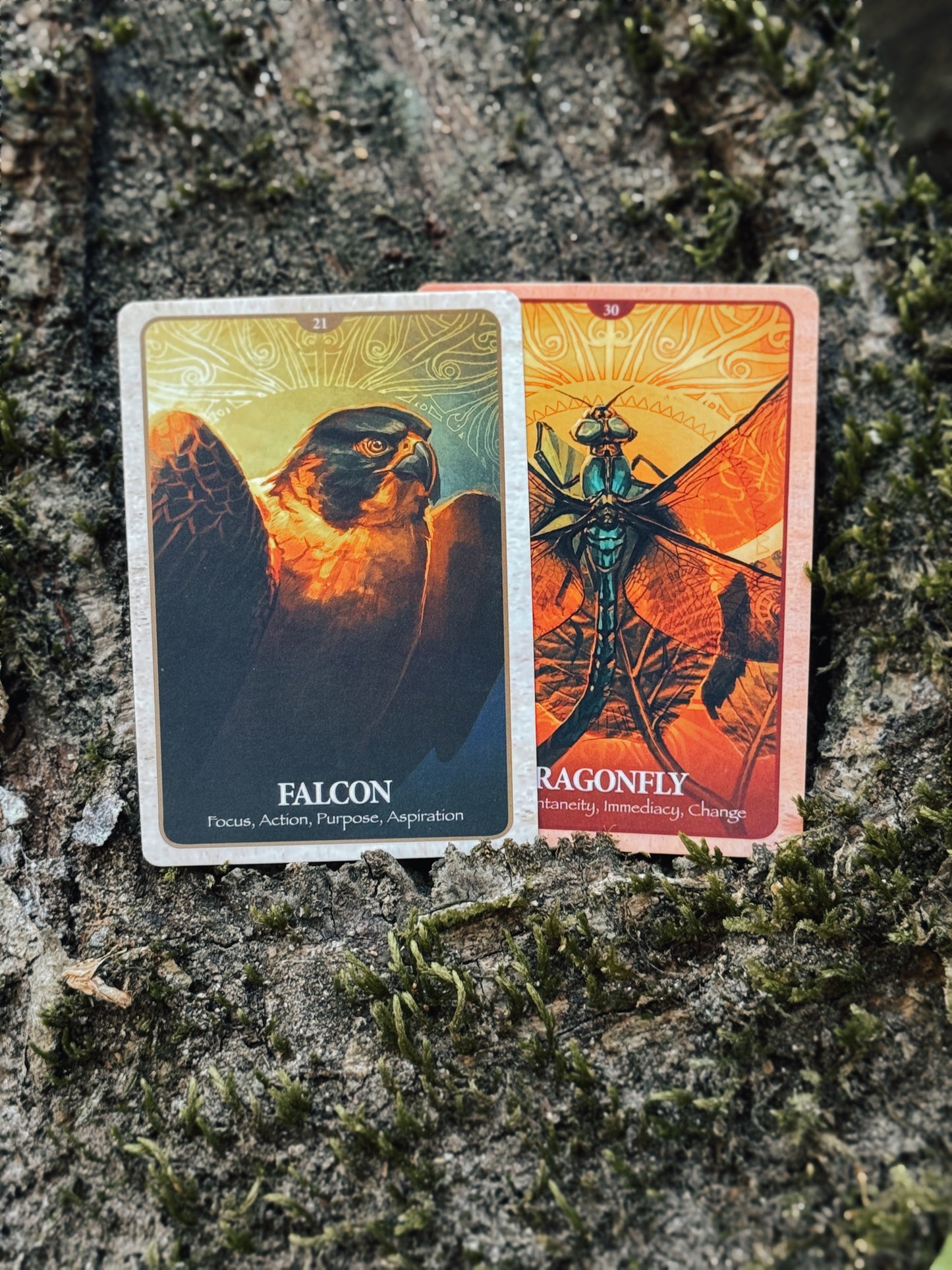 The secret language of Animals Oracle