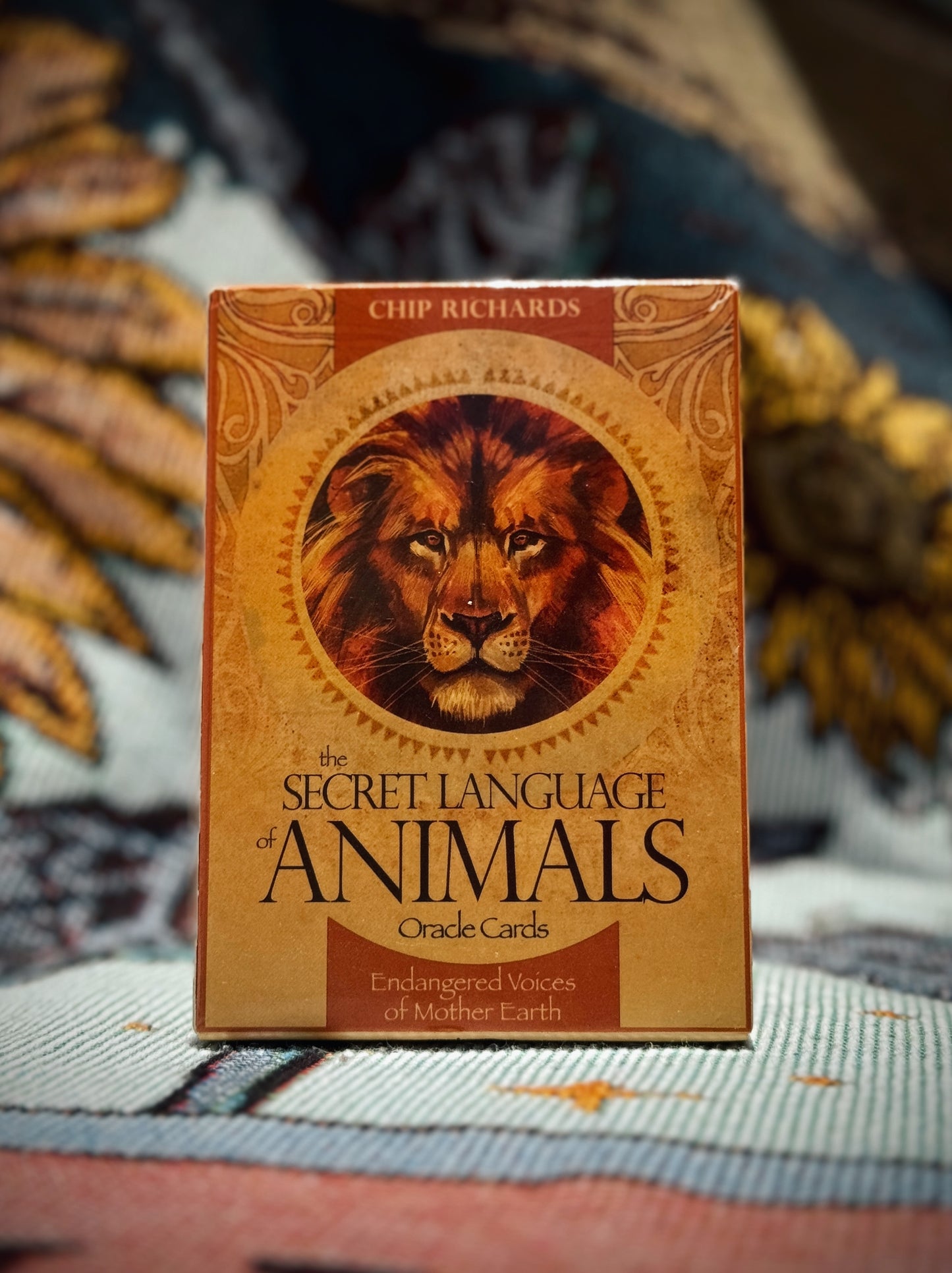 The secret language of Animals Oracle