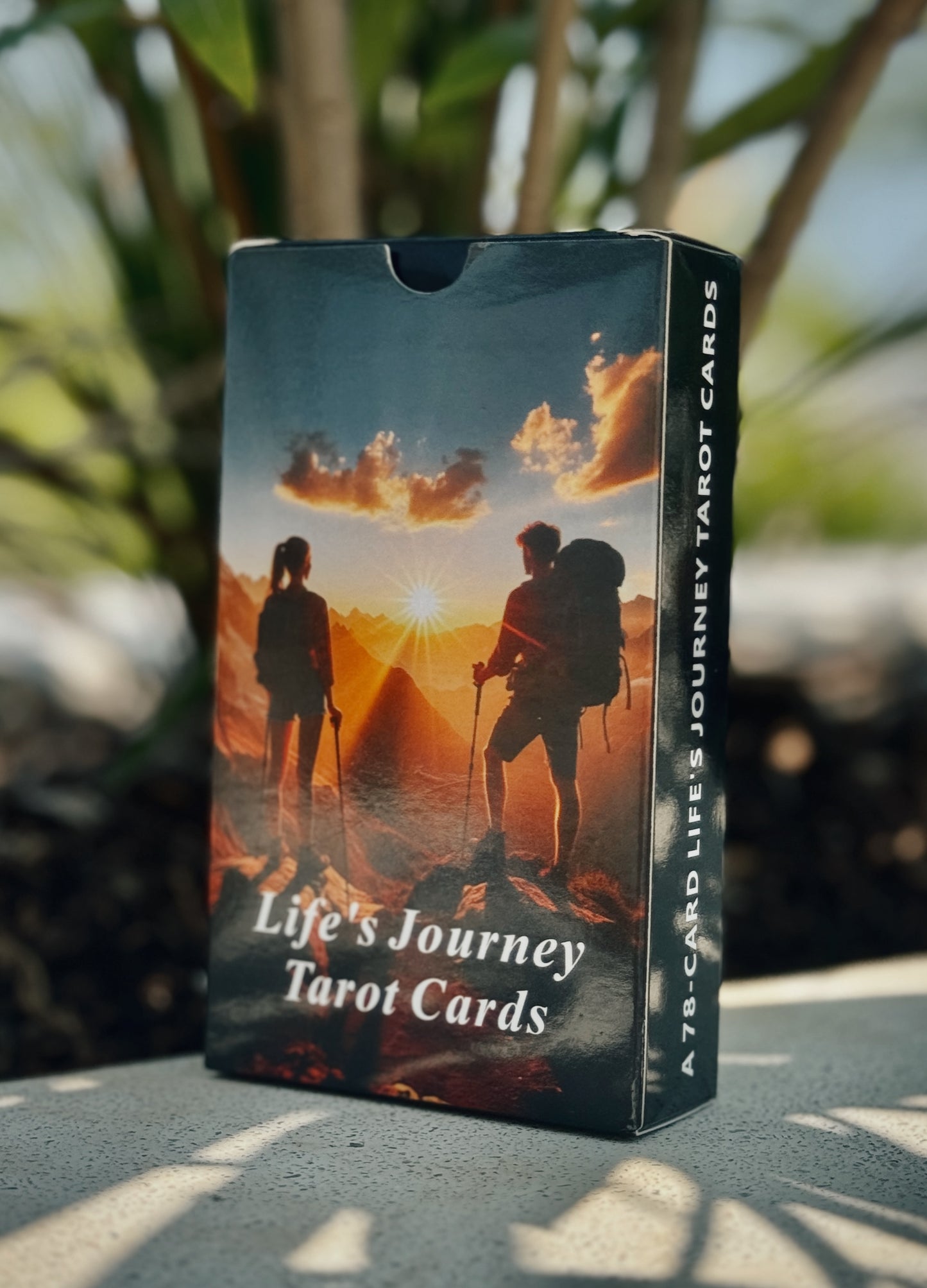 Life´s Journey Tarot